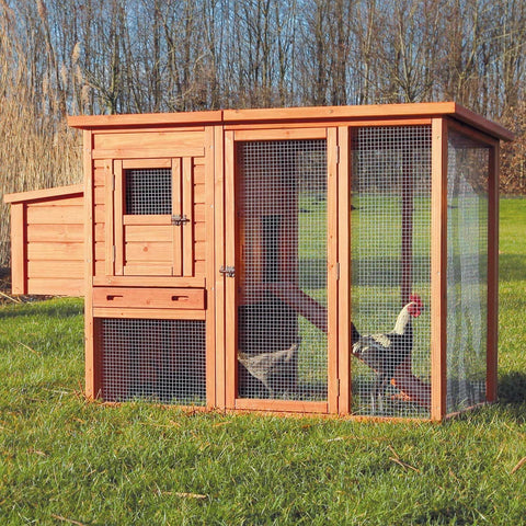 Best Selling Chicken Coops