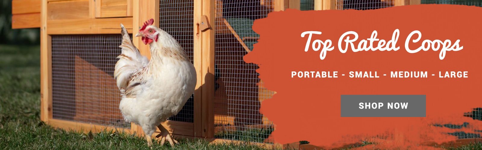 Top Rated Backyard Chicken Coops